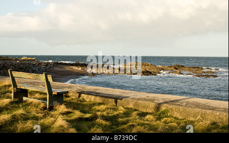 Panca affacciato sul Moray Firth a Buckie Scozia Scotland Foto Stock