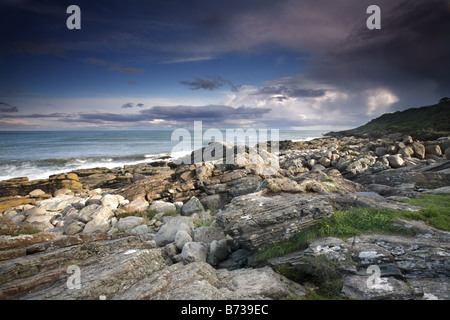 Costa rocciosa seascape dell Est Irlanda Foto Stock