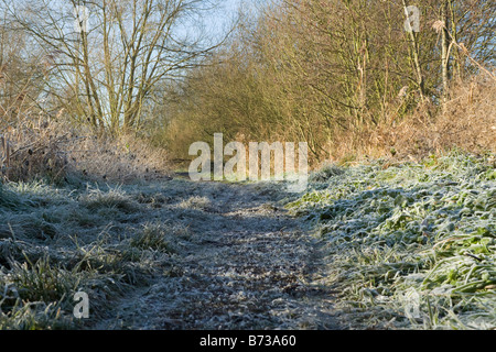 Frosty percorso di paese Foto Stock