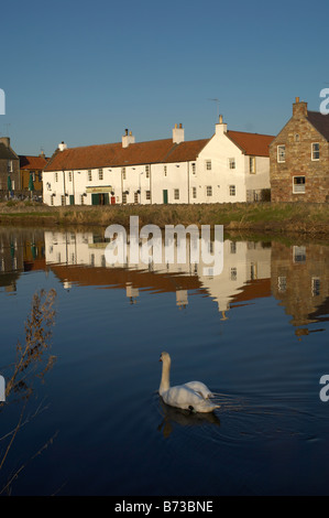 Riflessi sul fiume Tyne a Haddington in East Lothian in Scozia Foto Stock