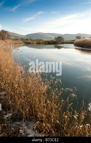 Il fiume Dysynni vicino Tywyn Gwynedd Snowdonia Galles del nord freddo inverno pomeriggio Foto Stock