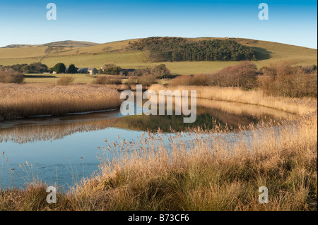 Il fiume Dysynni vicino Tywyn Gwynedd Snowdonia Galles del nord freddo inverno pomeriggio Foto Stock