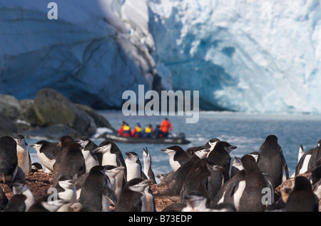 Zodiac passa da Elephant Island con pinguini Chinstrap (Pygoscelis antarcticus) Antartide Foto Stock