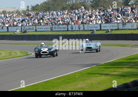 Goodwood meeting settembre 2008 Foto Stock