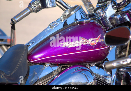 Viola Harley Davidson serbatoio gas Foto Stock