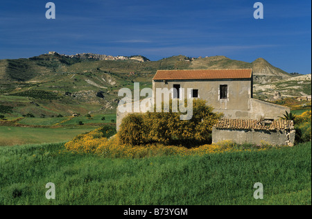 Casa abbandonata nei campi in primavera nei pressi di città sulla collina di Centuripe Sicilia Italia Foto Stock