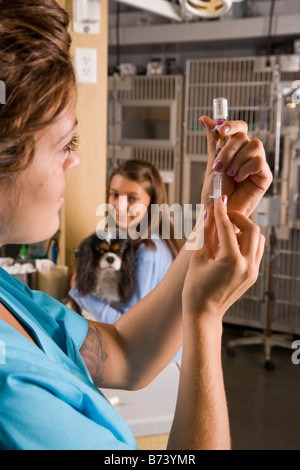 Assistente veterinario la preparazione di iniezione per cane nelle braccia della ragazza in clinica veterinaria Foto Stock