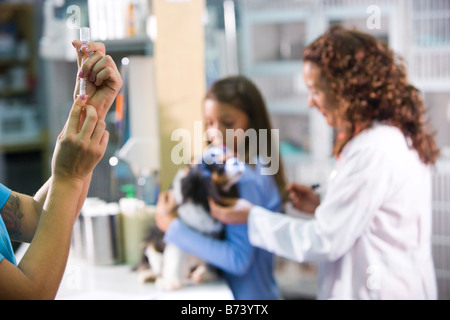 Assistente veterinario la preparazione di iniezione per cane mentre veterinario e proprietario di pet attendere Foto Stock