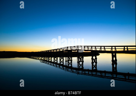 Il lungomare che si estende sopra il laghetto di sale e la palude di spiaggia, Boardwalk Beach, sandwich, Cape Cod, Massachusetts, STATI UNITI D'AMERICA Foto Stock