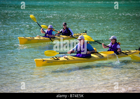 Nuova Zelanda, Isola del Sud, il Parco Nazionale Abel Tasman. Kayak sul mare. Foto Stock