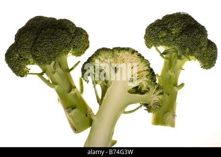 Broccoli (Brassica oleracea var. botrytis italica) Foto Stock