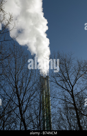 Le emissioni dal camino di una commerciale per lo smaltimento dei rifiuti inceneritore, Levekusen, Renania settentrionale-Vestfalia (Germania). Foto Stock