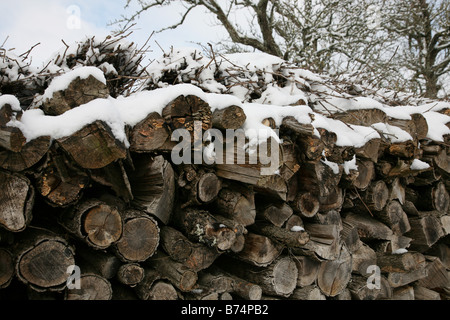 Un gran mucchio di tronchi e legna coperto di neve Foto Stock