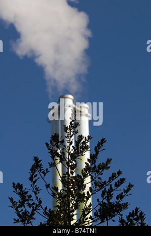 Le emissioni dal camino di una commerciale per lo smaltimento dei rifiuti inceneritore, Levekusen, Renania settentrionale-Vestfalia (Germania). Foto Stock