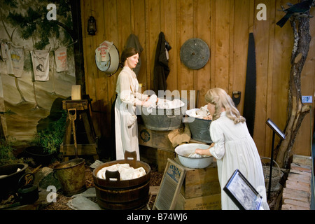 Nuova Zelanda, Isola del nord, Matakohe, Kauri Museum. Foto Stock