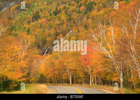 Cascata Brook, Grafton tacca del parco statale, Newry, White Mountains, Maine, Stati Uniti d'America Foto Stock