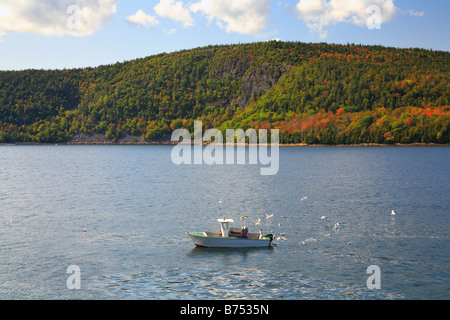 Lobsterman, Somes Sound, Sargent Drive, Parco Nazionale di Acadia, Maine, Stati Uniti d'America Foto Stock