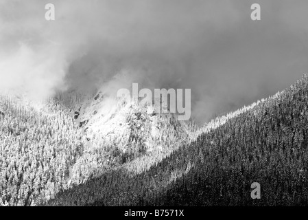 North Shore Mountains, Vancouver, BC Foto Stock