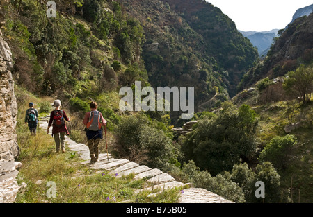 Camminando su un Kalderimi, pietra percorso, nel Rindomo Gorge, nel Taigetos montagne, Esterno Mani, sud del Peloponneso, Grecia Foto Stock