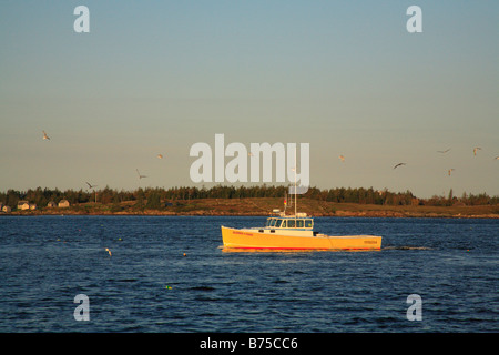 Lobster Boat vicino Monhegan Island, Maine, Stati Uniti d'America Foto Stock