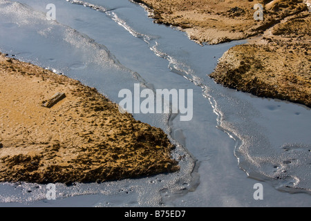 Fango caldo dettaglio Seltun area geothermial Islanda Foto Stock