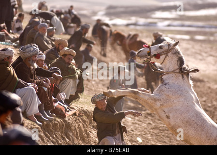 Afghan cavalieri prendere parte al tradizionale Buzkashi gioco in Afghanistan Maimana martedì 19 febbraio 2008. Foto Stock