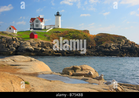 Cape Neddick Faro (Nubble luce), York Beach, Maine, Stati Uniti d'America Foto Stock