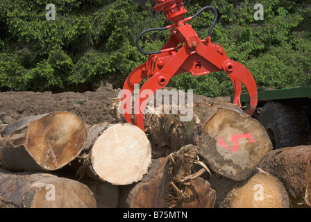 Selezione del registro la macchina a lavorare in una foresta in Valcamonica Lombardia Foto Stock