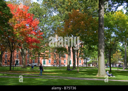 Harvard Yard presso la Harvard University di Cambridge Greater Boston Massachusetts USA Foto Stock
