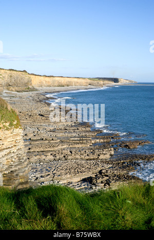 Glamorgan heritage costa da st donats vicino llantwit major Vale of Glamorgan Galles del Sud Foto Stock