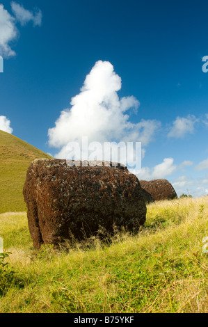 Puna Pau è una cava in un piccolo cratere fonte di red le scorie che il Rapanui utilizzati per scolpire i pukao Foto Stock