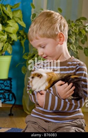 Cavy, cavia (cavia spec.), ragazzo accarezza un cavia nelle sue braccia Foto Stock