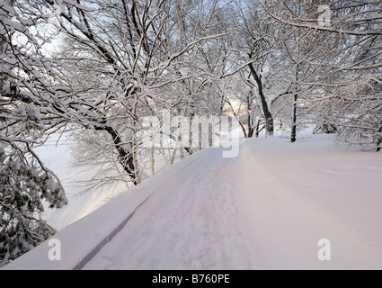 Una leggera nevicata fresca sul lago Ramsey boardwalk di Sudbury Ontario Foto Stock