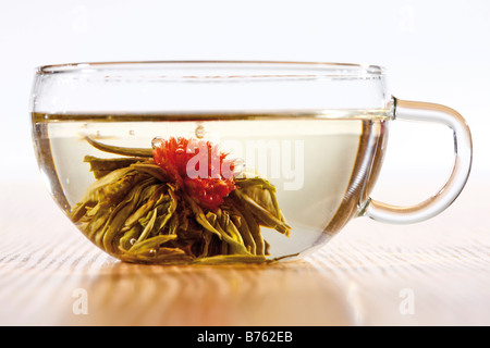Fiore di tè tè in vetro, close-up Foto Stock