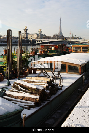 Legna da ardere coperto di neve visto su una chiatta di Senna, con la torre Eiffel sullo sfondo, Parigi, Francia, Europa Foto Stock