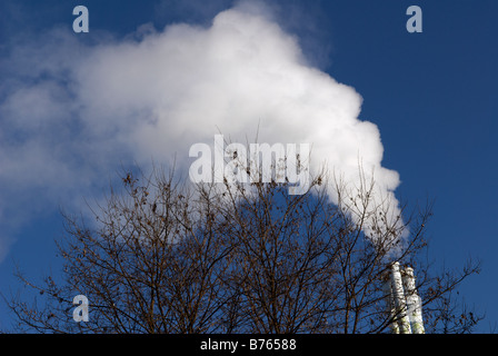 Le emissioni dal camino di una commerciale per lo smaltimento dei rifiuti inceneritore, Levekusen, Renania settentrionale-Vestfalia (Germania). Foto Stock