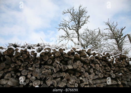 Un gran mucchio di tronchi impilati e coperto di neve Foto Stock