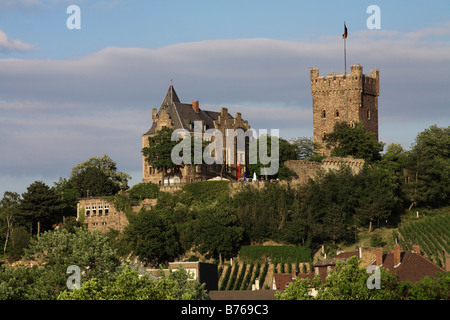 Burg klopp Bingen am Rhein mainz bingen Renania Palatinato Rheinland Pfalz Germania deutschland europa europa Foto Stock