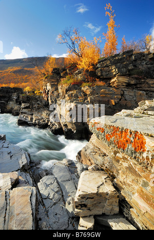 Whitewater river mountain torrent abisko canyon paesaggio abisko parco nazionale di norrbotten lapponia Svezia europa autunno Foto Stock