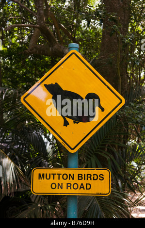 Carni di montone bird segno Isola di Lord Howe Australia Foto Stock