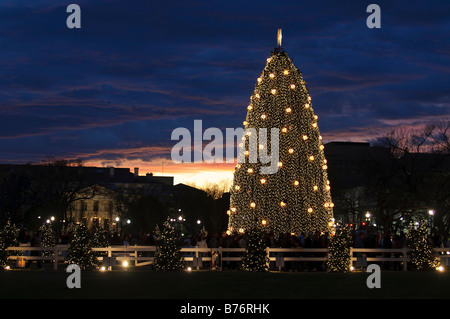 La Nazionale di albero di Natale sull'ellisse in Washington DC scattata di notte Foto Stock