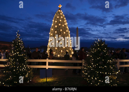 La Nazionale di albero di Natale sull'ellisse e il Monumento a Washington a Washington DC scattata di notte. Foto Stock