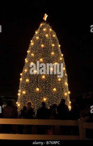 La Nazionale di albero di Natale sull'ellisse in Washington DC scattata di notte Foto Stock