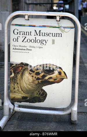 Vista generale GV di concedere il Museo di Zoologia in Londra England Regno Unito Foto Stock