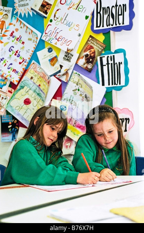 Gli alunni lavorano in aula in lingua gallese junior school di Newport South Wales UK Foto Stock