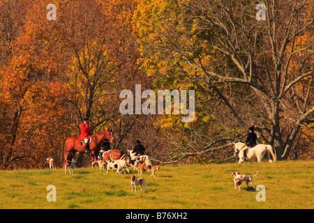 Fox Hunt, Swoope, Shenandoah Valley, Virginia, Stati Uniti d'America Foto Stock