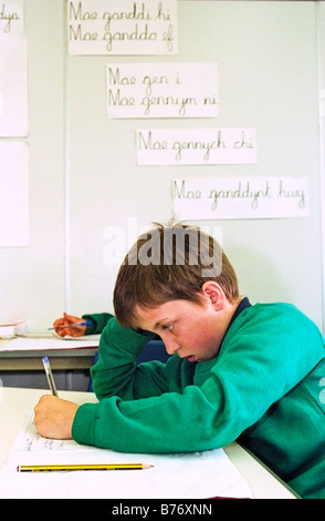 Allievo lavora in aula in lingua gallese junior school di Newport South Wales UK Foto Stock