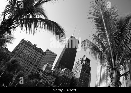 Palme su Oak Street Beach Gold Coast di Chicago, Illinois, Stati Uniti d'America Foto Stock