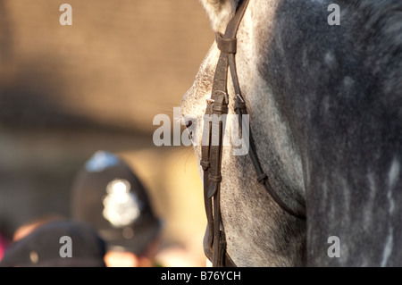 Lacock Teh Avon Vale caccia sul Boxing day Foto Stock