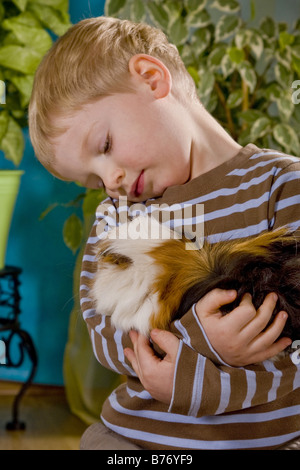 Cavy, cavia (cavia spec.), ragazzo accarezza un cavia nelle sue braccia Foto Stock